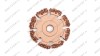  NS05-2116-RF Диск шероховальный, Ø50x6мм, AH 3/8\'\'-24 thread, 16 Grit мни (1)