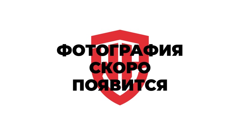  Напильники 200мм 3шт набор WP201702 WORKPRO (0)