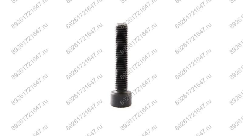  Регулировочный болт стопора M8×40 T4, V2-4L (1)