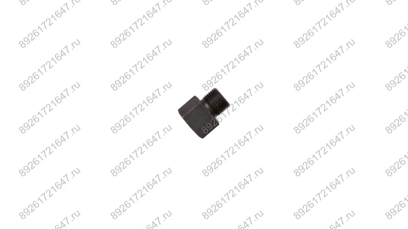  Штуцер входной ( Air inlet plug ) RT-5565 поз.32 (1)