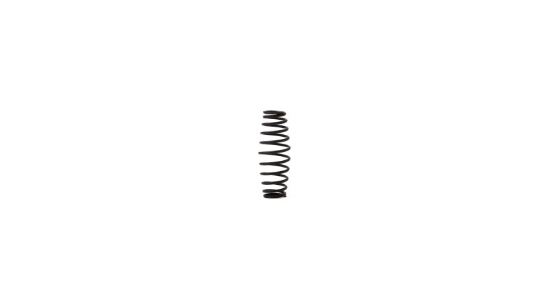  Пружина клапана Throttle Valve Spring п.42 для RT-5277 (0)