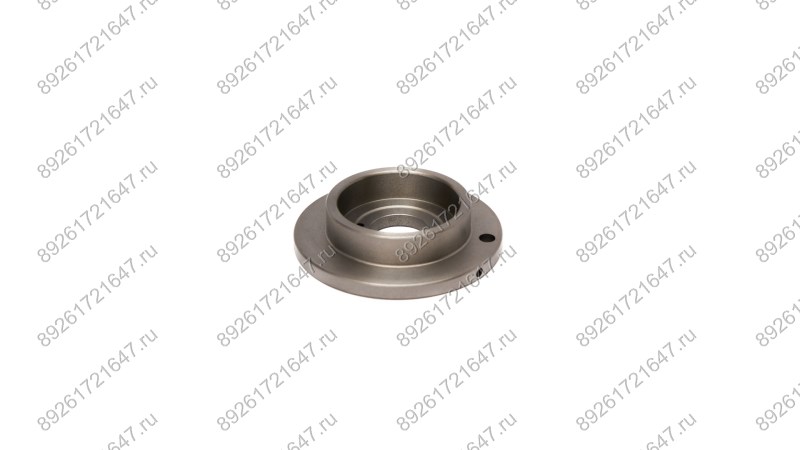  Крышка цилиндра ротора RT-5567 (Front End Plate) поз.16 (0)