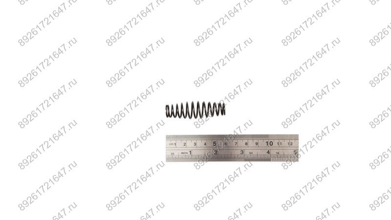  Пружина RT-5567(Inlet Spring) поз.30 (1)