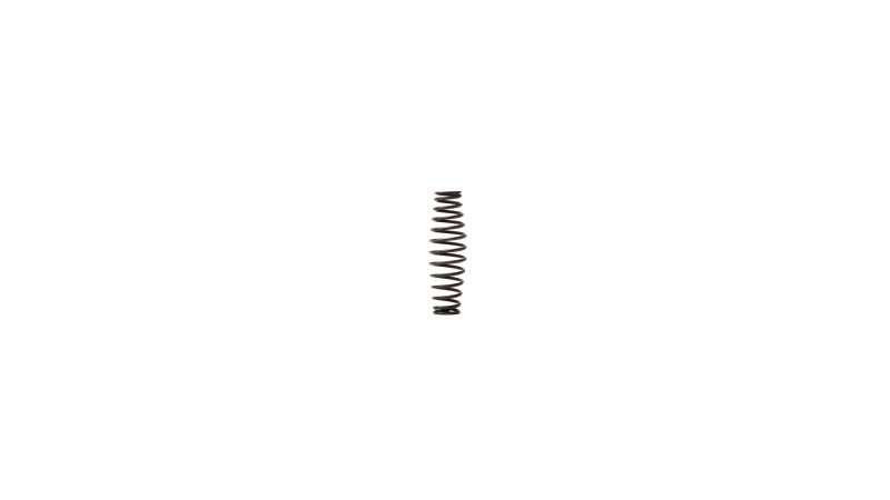  Пружина RT-5567(Inlet Spring) поз.30 (0)