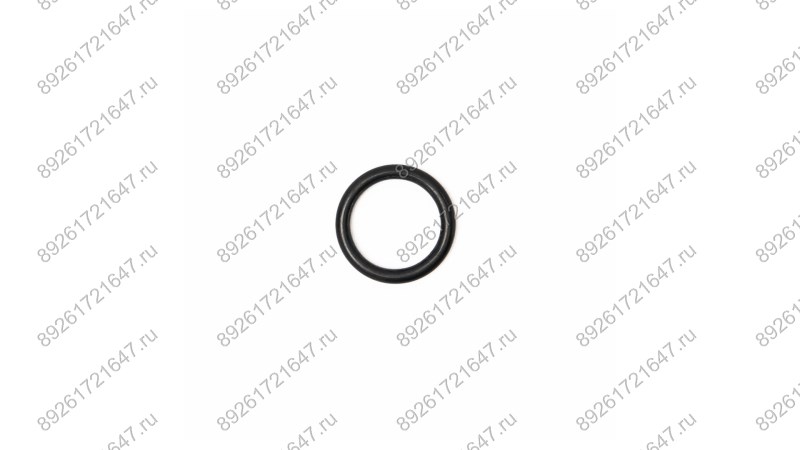  Кольцо резиновое плунжера V3.5 (Rubber plunger ring d20mm) (0)