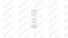  Пружина плунжера V3.5 (Plunger spring d36.5mm x 100mm) мни (2)