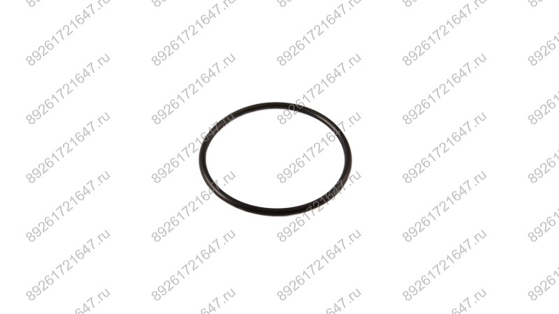  Кольцо резиновое 100×5.3 V-26 (1)