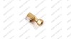 H20-10 Clip-On Air Chuck (Наконечник накачки) фото