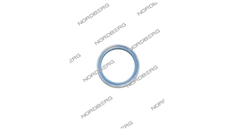  NORDBERG ЗАПЧАСТЬ ШМС УПЛОТНЕНИЕ вала для 46TRK46 000010042 (0)