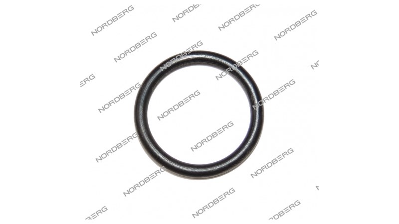  Кольцо 5006447 20х2,65 для NORDBERG 46TRK 5006447 (GB3452·1-20?2·65-G) (0)