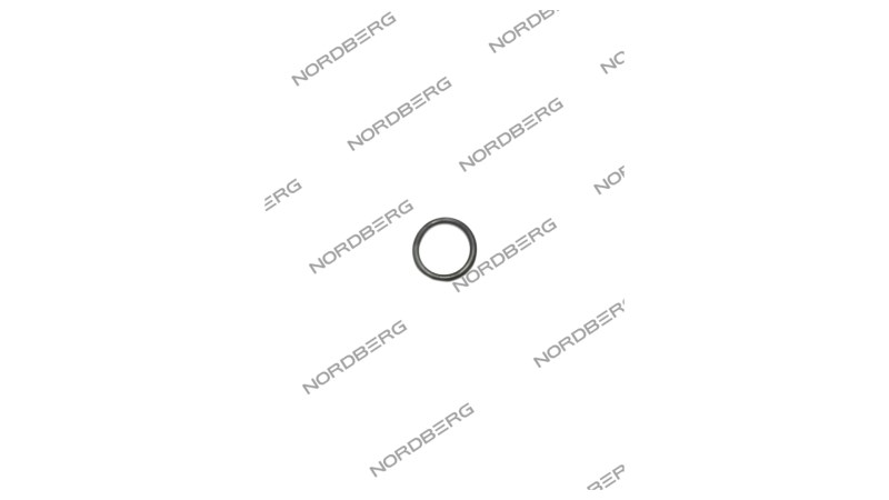  NORDBERG ЗАПЧАСТЬ КОЛЬЦО уплотнительное X000739 для 2330-BC X000739 (0)
