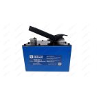  Насос пневмогидравлический 6.8л T08009P-3 мни (2)