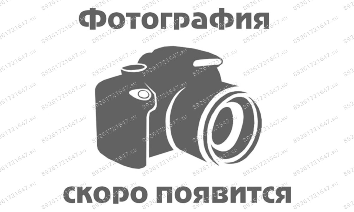  Пресс гаражный гидравлический на 50 тонн с ручным/ножным приводом SD0809CE (0)