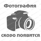  Пресс гаражный гидравлический на 50 тонн с ручным/ножным приводом SD0809CE мни (0)