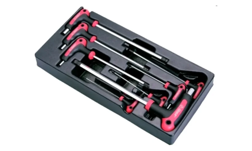 Комплект L-образных 6-ти гранных ключей Hans в ложементе, TT-20 фото