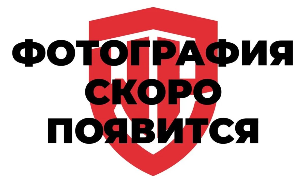  Ключ комбинированный трещоточный 8мм CR-V WP273125 WORKPRO (0)