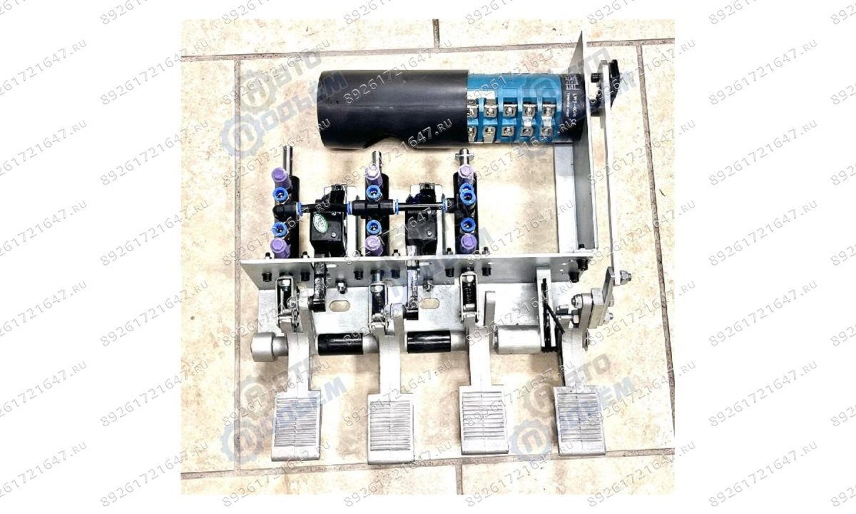  Узел педальный ШМС TROMMELBERG 1887 для 2-х скоростных станков в сборе с переключателем CT-D-B300000 (1)