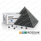  Шип ремонтный ROSSVIK 12-10-2 серия PRO (коробка 500шт) мни (6)