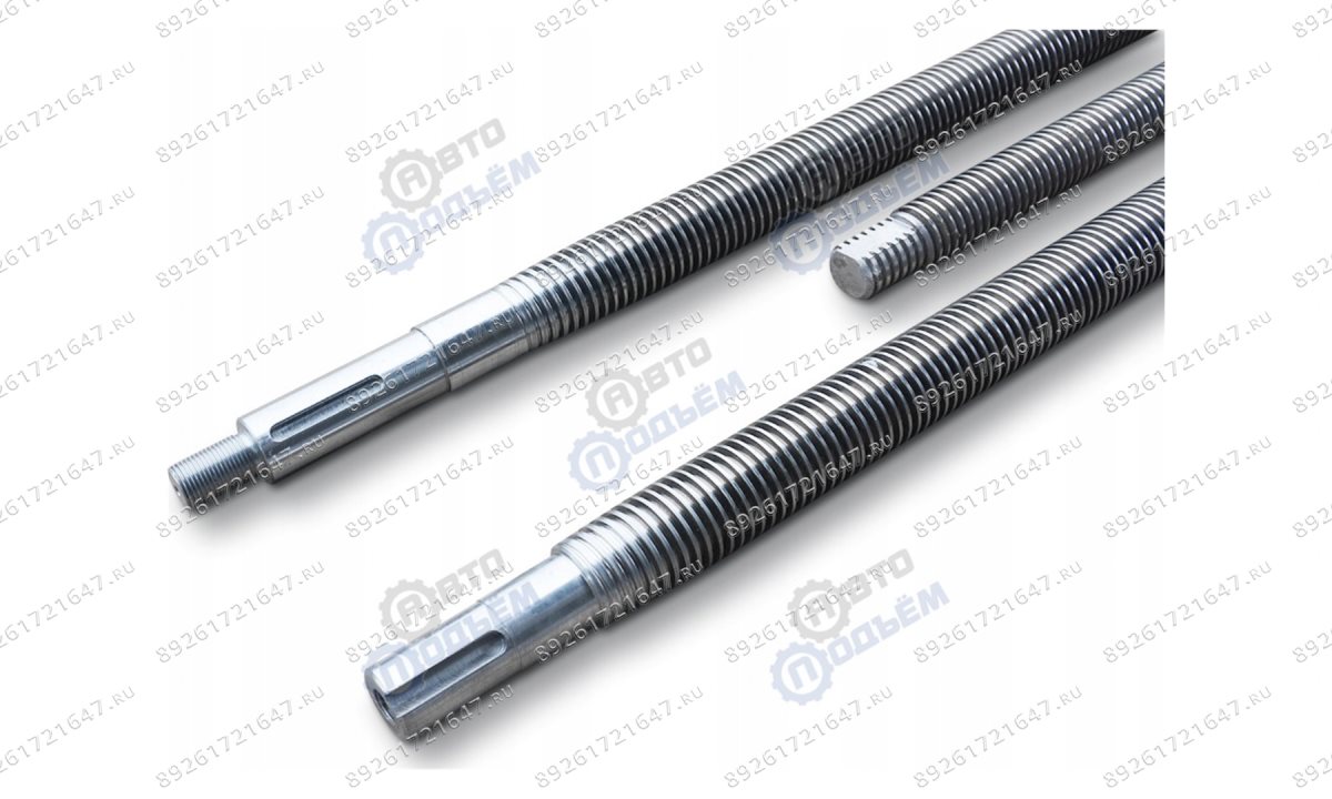  Винт на подъёмник KPN 306 TR 40x5  Ravaglioli (0)