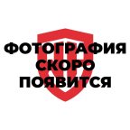  Выколотки набор 6шт WP201304 WORKPRO мни (0)