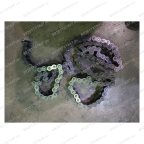  T4 FlEq/52 Цепь пластинчатая мни (0)