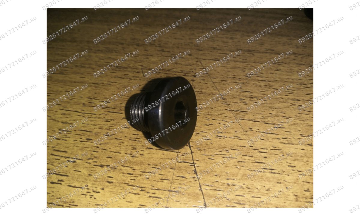  F6010 FlEq Пробка маслосливная бака гидростанции (0)