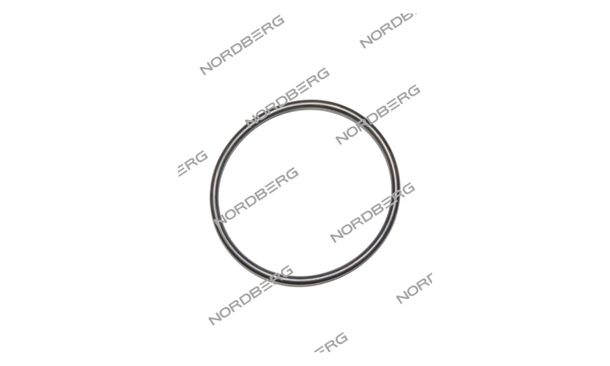  NORDBERG ЗАПЧАСТЬ ПРОКЛАДКА кольцевая D7 для N631L-3 X001322 (0)