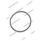  NORDBERG ЗАПЧАСТЬ ПРОКЛАДКА кольцевая D7 для N631L-3 X001322 мни (0)