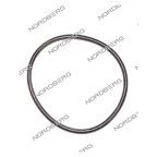  NORDBERG ЗАПЧАСТЬ ПРОКЛАДКА кольцевая D35-305 для N634-4,5 X001324 мни (0)