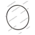  NORDBERG ЗАПЧАСТЬ ПРОКЛАДКА кольцевая D35-705 для N634-4,5 X001325 мни (0)