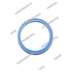  NORDBERG ЗАПЧАСТЬ КОЛЬЦО пылезащитное D35-202 для N632-3 X001329 мни (0)