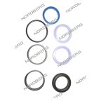  NORDBERG ЗАПЧАСТЬ РЕМКОМПЛЕКТ цилиндра E01 для N631L-3 X006938 мни (0)