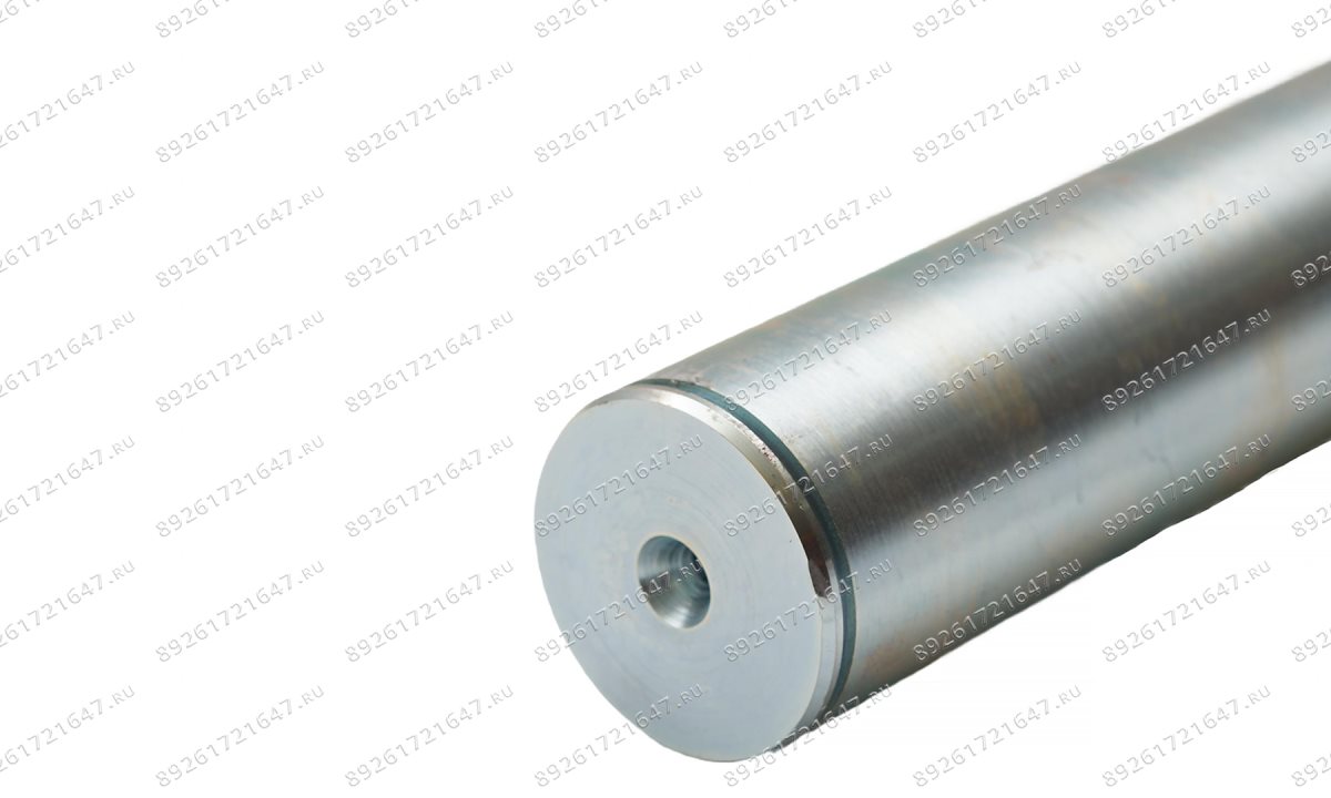  Ось крепления лапы V2-5.5, V2-5.5L (1)