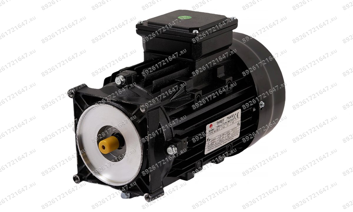  Электромотор V-26, V-57, V-57A (380V/220V/50/60Hz PUMP MOTOR) (1)