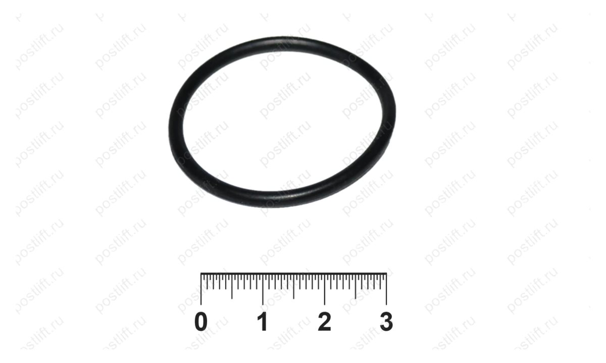  Кольцо уплотнительное для RP106002, RP106001 (0)
