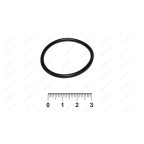 Кольцо уплотнительное для RP106002, RP106001 мни (0)
