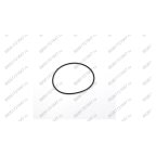  Кольцо резиновое O-Ring (50*1.5) п.12 для RT-5277 мни (0)
