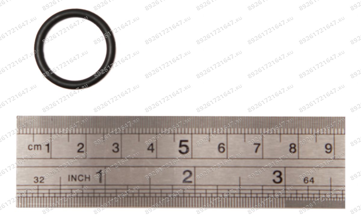 Кольцо RT-5567 (Air Inlet Screen) поз.31 (1)