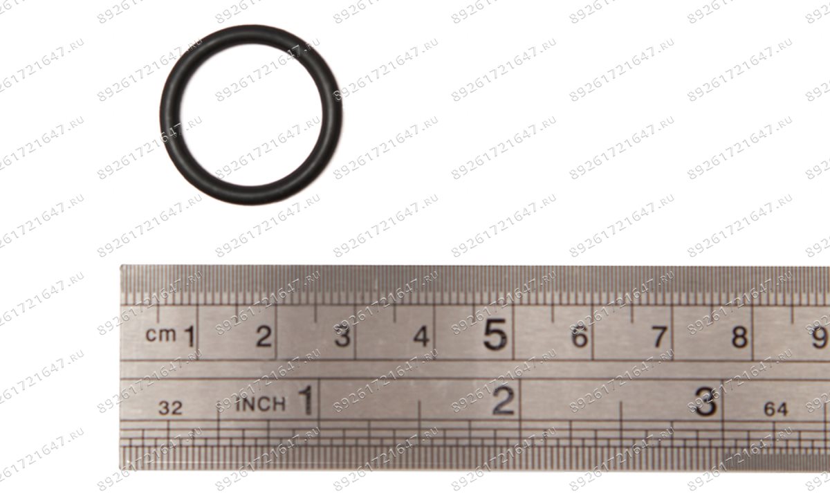  Кольцо RT-5567 (Air Inlet Screen) поз.31 (1)