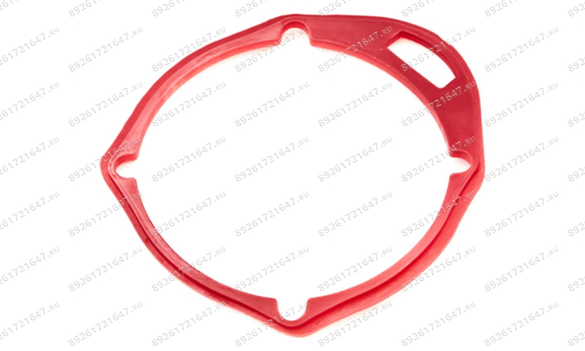  Прокладка задней крышки ( End seal ) RT-5275 поз.21 (1)