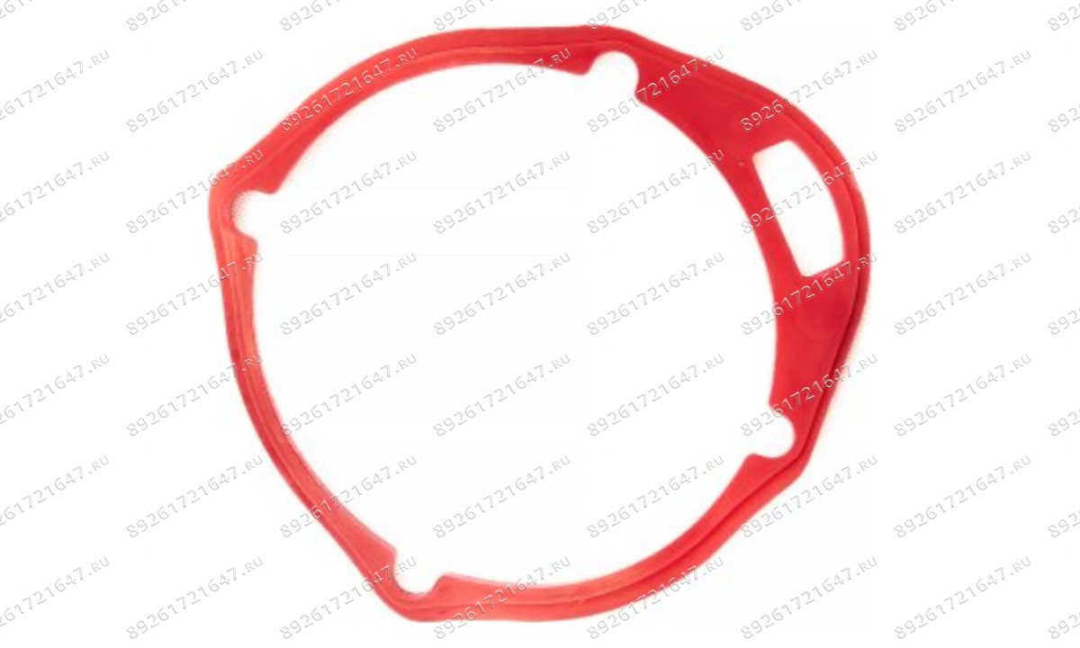  Прокладка задней крышки ( End seal ) RT-5275 поз.21 (0)