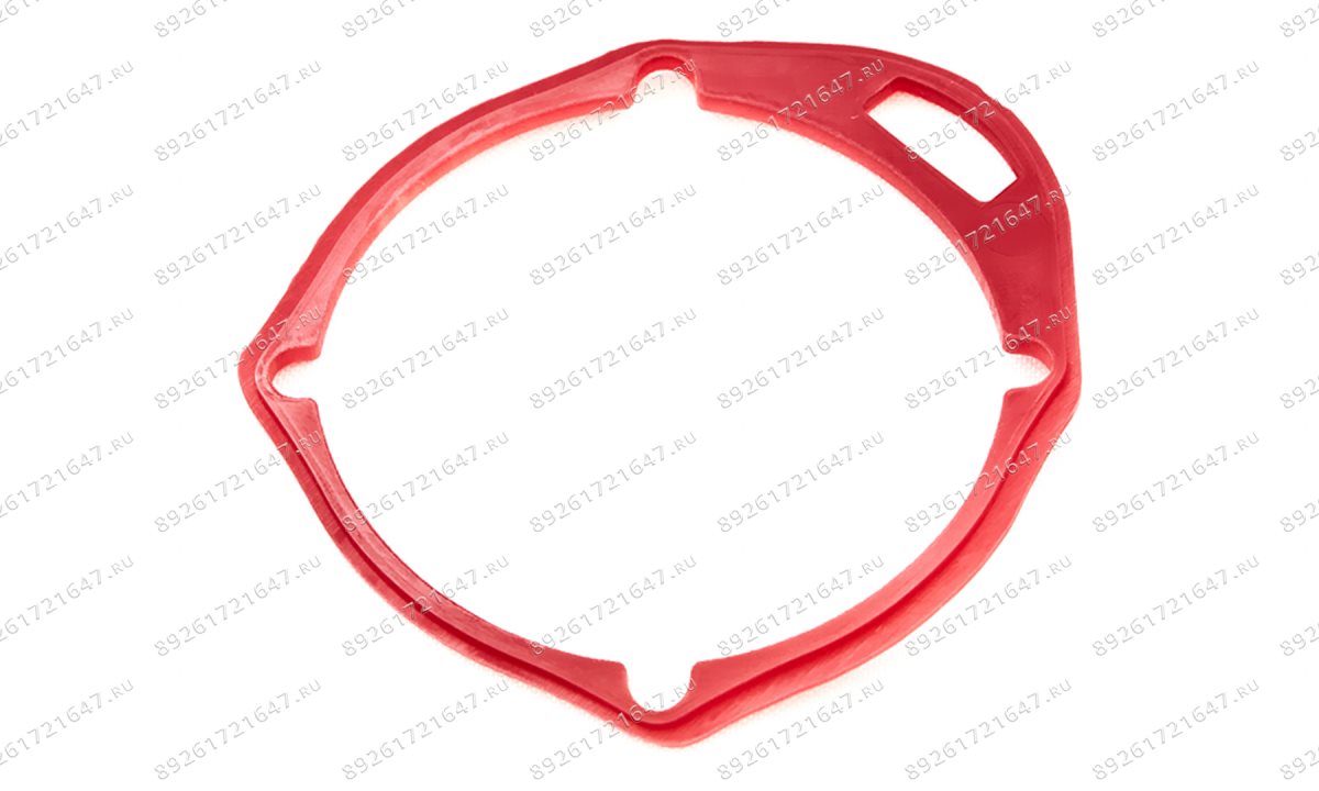  Прокладка задней крышки ( End seal ) RT-5275 поз.21 (1)