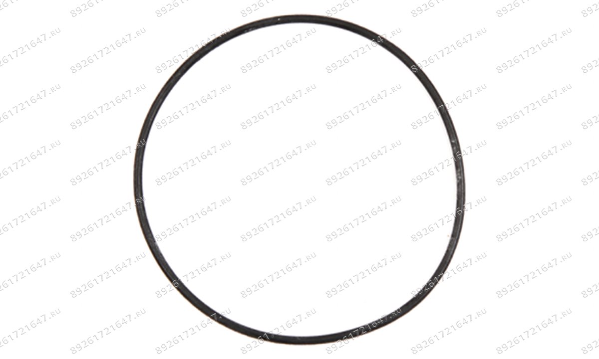  Кольцо резиновое O-Ring (48*1) RT-5277 поз.23 (1)
