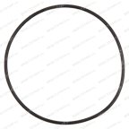  Кольцо резиновое O-Ring (48*1) RT-5277 поз.23 мни (1)