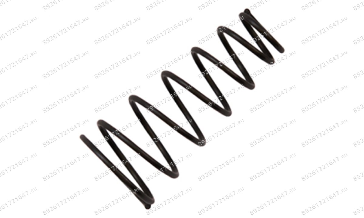  Пружина клапана ( Air inlet spring ) RT-5565 поз.34 (0)