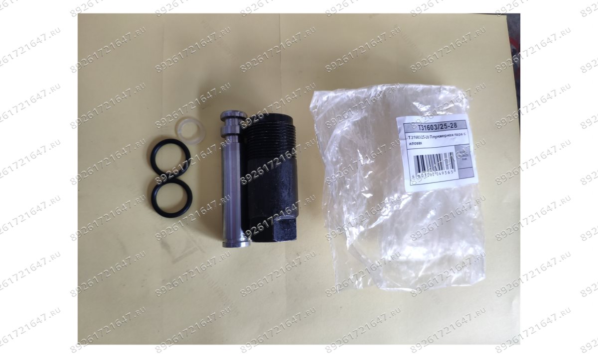  T31603/25-28 Плунжерная пара силовая (0)