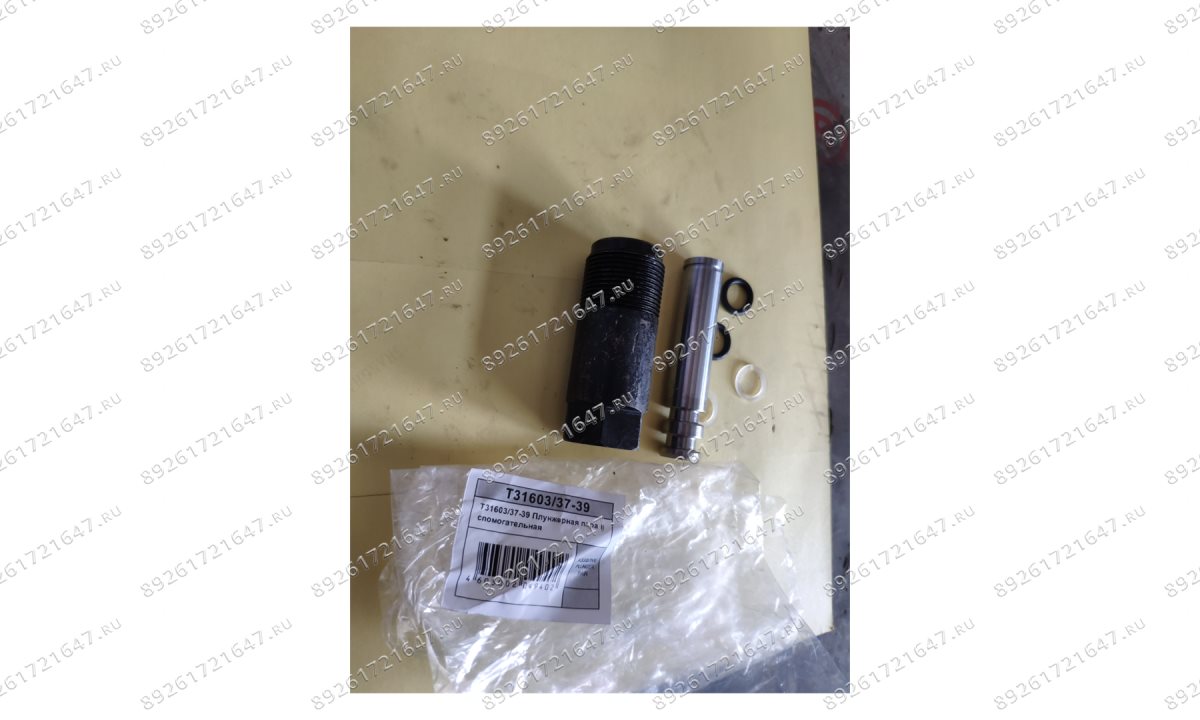  T31603/37-39 Плунжерная пара вспомогательная (0)
