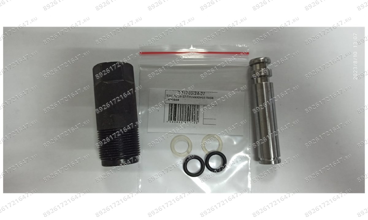  T31703/24-27 Плунжерная пара силовая (0)