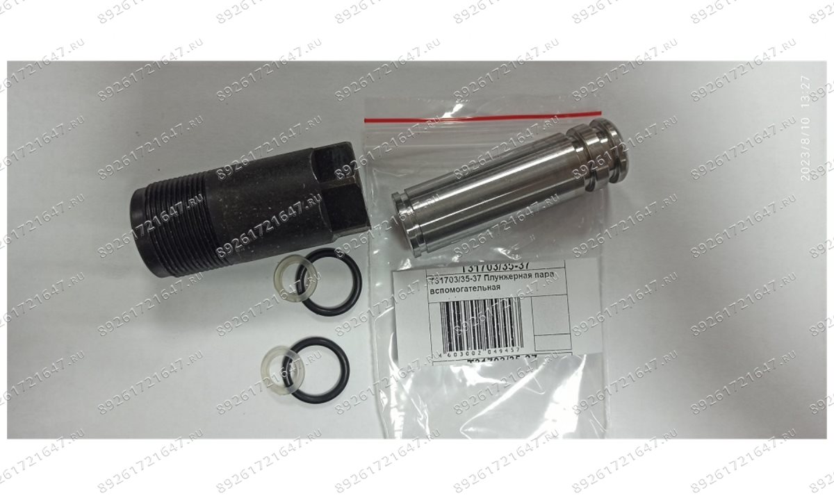  T31703/35-37 Плунжерная пара вспомогательная (0)