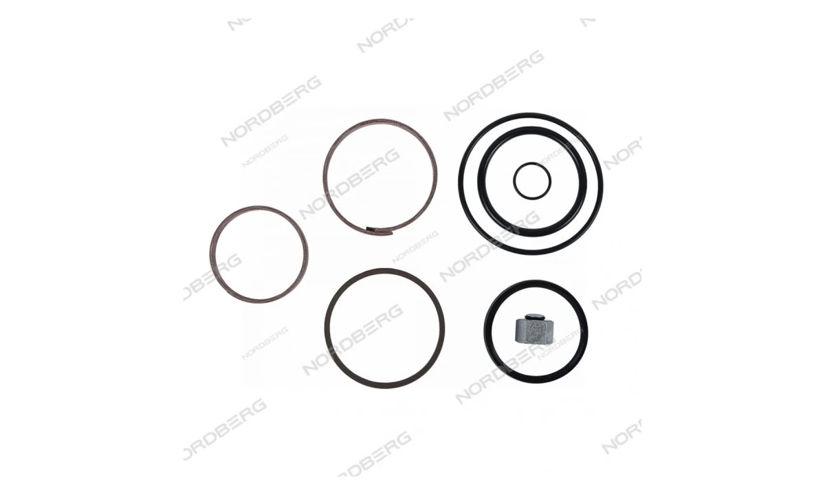  Ремкомплект цилиндра для N501T N501T#CYL-RK (0)